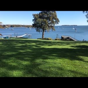 Meet your Posher, Leonel